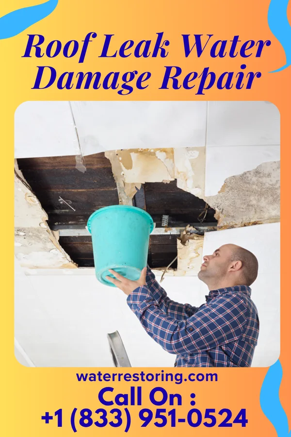 Roof Leak Water Damage Repair in Fruitridge Pocket, CA